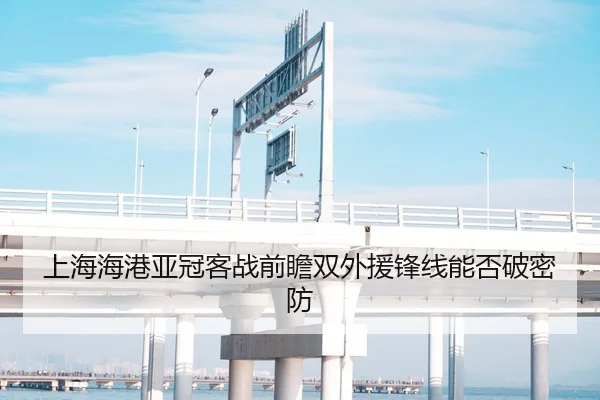 上海海港亚冠客战前瞻双外援锋线能否破密防